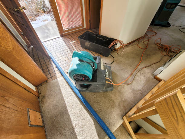 Best Flooded house restoration  in Chain Lake, WA